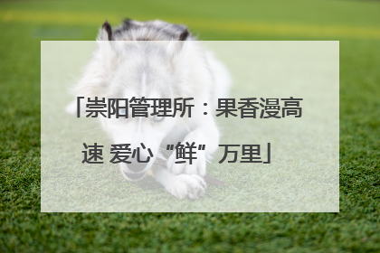 崇阳管理所：果香漫高速 爱心“鲜”万里