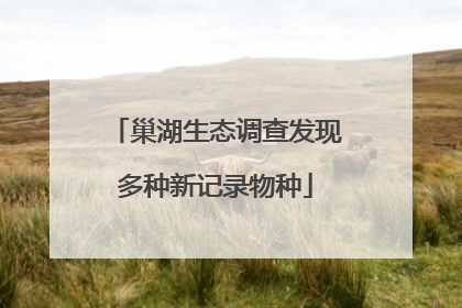巢湖生态调查发现多种新记录物种