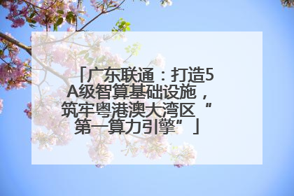 广东联通：打造5A级智算基础设施，筑牢粤港澳大湾区“第一算力引擎”