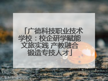 广德科技职业技术学校：校企研学赋能文旅实践 产教融合锻造专技人才