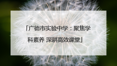 广德市实验中学：聚焦学科素养 深耕高效课堂