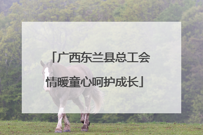 广西东兰县总工会情暖童心呵护成长