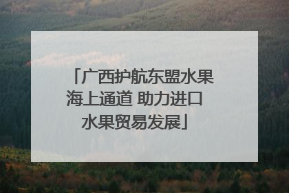 广西护航东盟水果海上通道 助力进口水果贸易发展