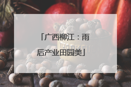 广西柳江：雨后产业田园美