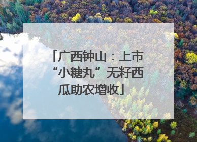广西钟山：上市“小糖丸”无籽西瓜助农增收
