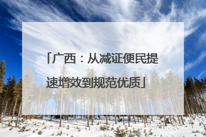 广西：从减证便民提速增效到规范优质
