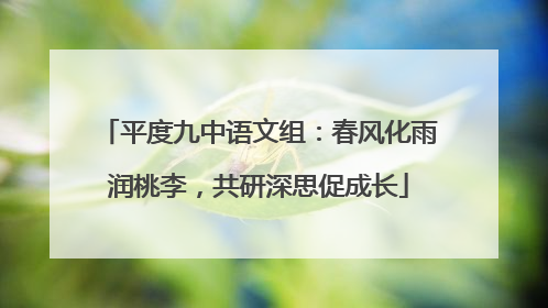 平度九中语文组：春风化雨润桃李，共研深思促成长