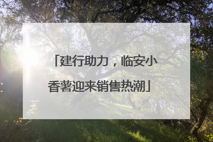 建行助力，临安小香薯迎来销售热潮