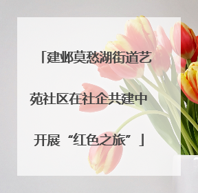 建邺莫愁湖街道艺苑社区在社企共建中开展“红色之旅”