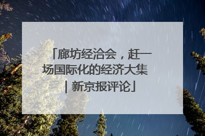 廊坊经洽会，赶一场国际化的经济大集｜新京报评论