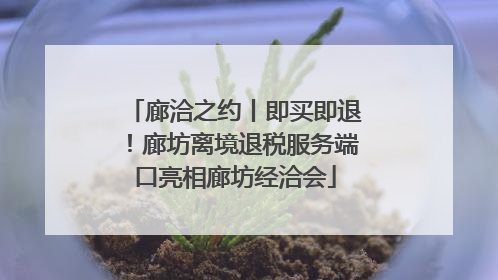 廊洽之约丨即买即退！廊坊离境退税服务端口亮相廊坊经洽会