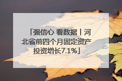 强信心 看数据丨河北省前四个月固定资产投资增长7.1%
