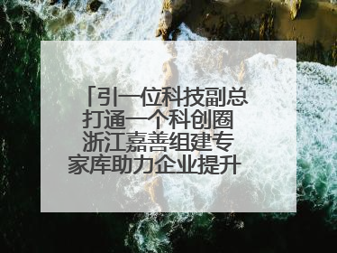 引一位科技副总 打通一个科创圈 浙江嘉善组建专家库助力企业提升自主创新能力