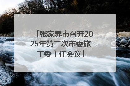 张家界市召开2025年第二次市委旅工委主任会议