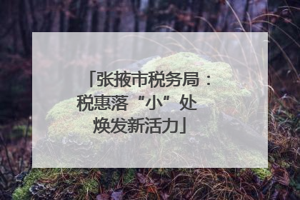 张掖市税务局：税惠落“小”处 焕发新活力