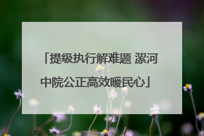 提级执行解难题 漯河中院公正高效暖民心
