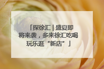 探徐汇 | 盛夏即将来袭，多来徐汇吃喝玩乐逛“新店”