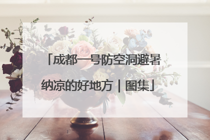 成都一号防空洞避暑纳凉的好地方｜图集