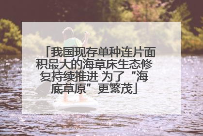 我国现存单种连片面积最大的海草床生态修复持续推进 为了“海底草原”更繁茂