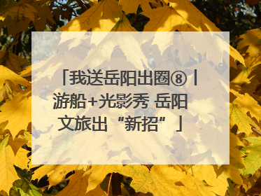 我送岳阳出圈⑧丨游船+光影秀 岳阳文旅出“新招”