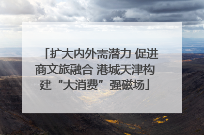扩大内外需潜力 促进商文旅融合 港城天津构建“大消费”强磁场