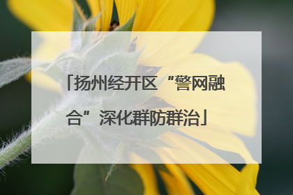扬州经开区“警网融合”深化群防群治