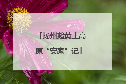 扬州鹅黄土高原“安家”记