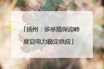 扬州：多举措保迎峰度夏电力稳定供应