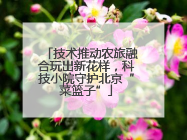 技术推动农旅融合玩出新花样，科技小院守护北京“菜篮子”