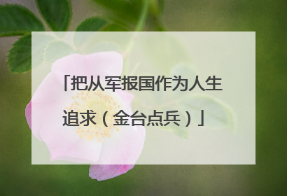 把从军报国作为人生追求（金台点兵）
