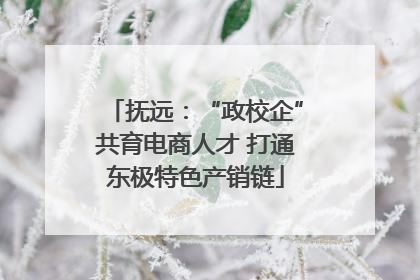 抚远：“政校企”共育电商人才 打通东极特色产销链