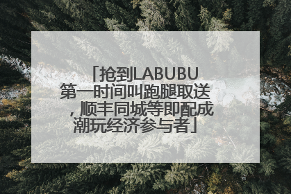 抢到LABUBU第一时间叫跑腿取送，顺丰同城等即配成潮玩经济参与者