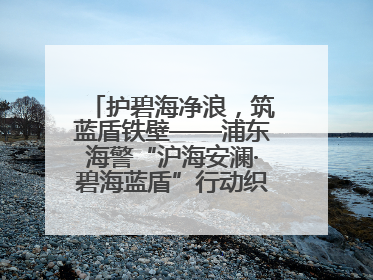 护碧海净浪，筑蓝盾铁壁——浦东海警“沪海安澜·碧海蓝盾”行动织密立体防控网