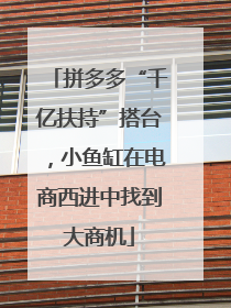 拼多多“千亿扶持”搭台，小鱼缸在电商西进中找到大商机