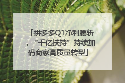 拼多多Q1净利腰斩，“千亿扶持”持续加码商家高质量转型