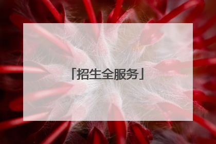 招生全服务