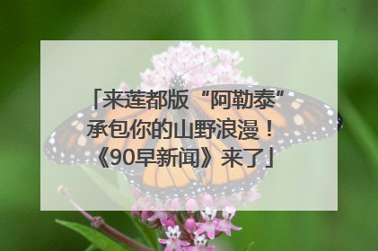 来莲都版“阿勒泰” 承包你的山野浪漫！《90早新闻》来了