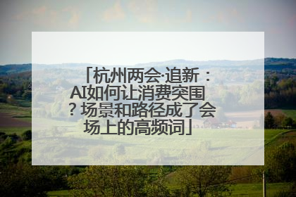 杭州两会·追新：AI如何让消费突围？场景和路径成了会场上的高频词