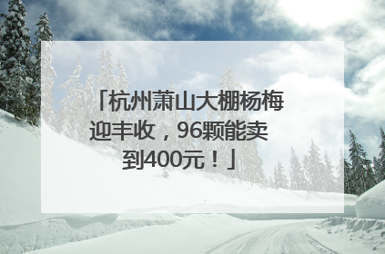 杭州萧山大棚杨梅迎丰收，96颗能卖到400元！