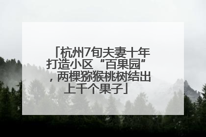 杭州7旬夫妻十年打造小区“百果园”，两棵猕猴桃树结出上千个果子