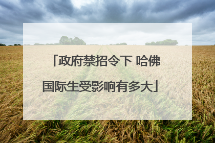 政府禁招令下 哈佛国际生受影响有多大