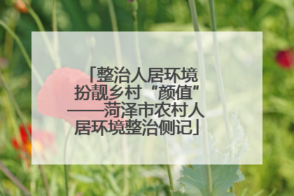 整治人居环境 扮靓乡村“颜值”——菏泽市农村人居环境整治侧记