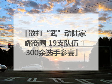 散打“武”动陆家嘴商圈 19支队伍300余选手参赛