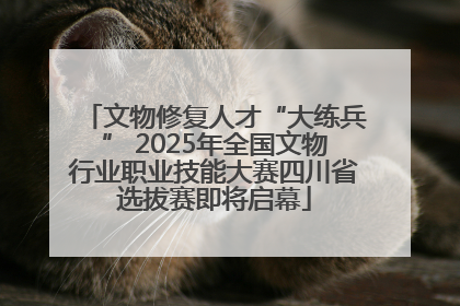 文物修复人才“大练兵” 2025年全国文物行业职业技能大赛四川省选拔赛即将启幕
