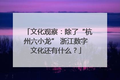 文化观察：除了“杭州六小龙” 浙江数字文化还有什么？