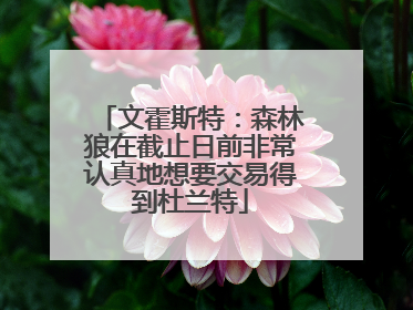 文霍斯特：森林狼在截止日前非常认真地想要交易得到杜兰特