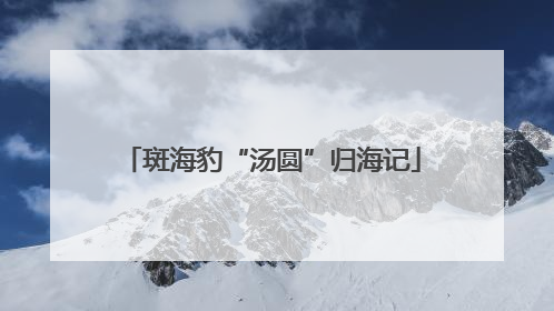 斑海豹“汤圆”归海记