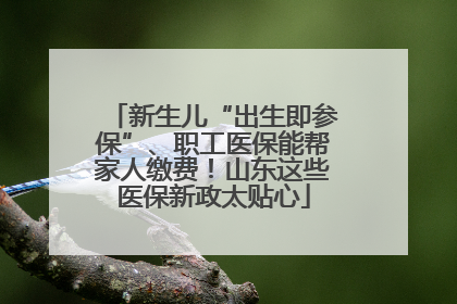 新生儿“出生即参保”、职工医保能帮家人缴费！山东这些医保新政太贴心