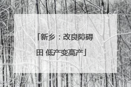 新乡：改良障碍田 低产变高产