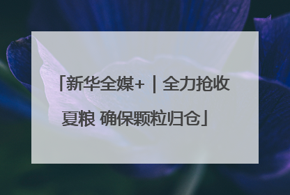 新华全媒+｜全力抢收夏粮 确保颗粒归仓